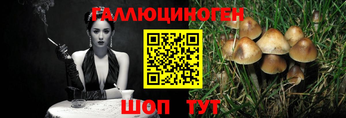 Псилоцибиновые грибы Magic Shrooms  Галлюциногенные грибы прущие грибы  где купить наркоту  Вход с VPN  Ахтубинск 
